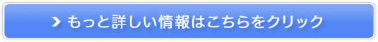 cCGiCU[PROUz[GXeDXZbgQ̔TCg